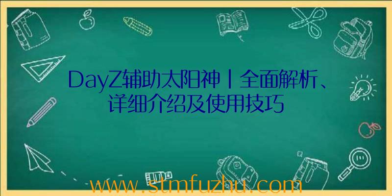 DayZ辅助太阳神|全面解析、详细介绍及使用技巧